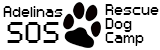 Adis Logo