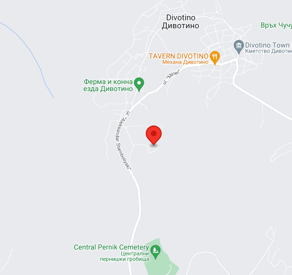 google_map